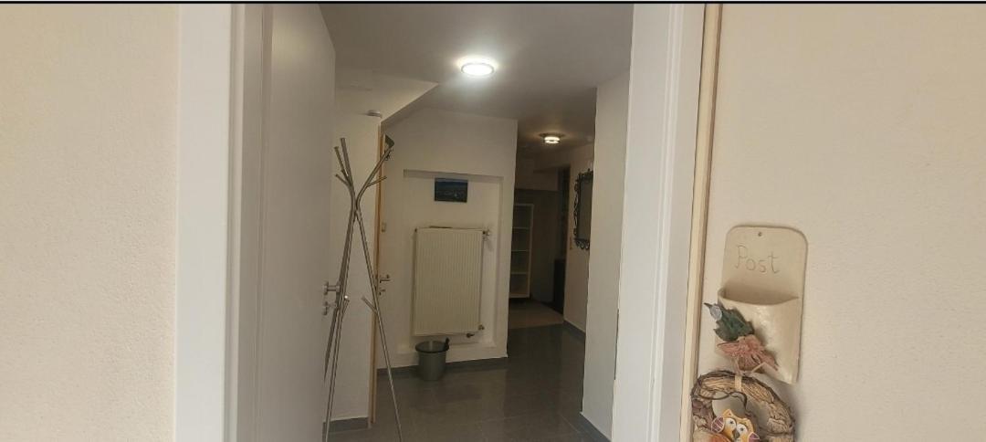 Ferien-Apartment Meter Neumagen-Dhron Buitenkant foto