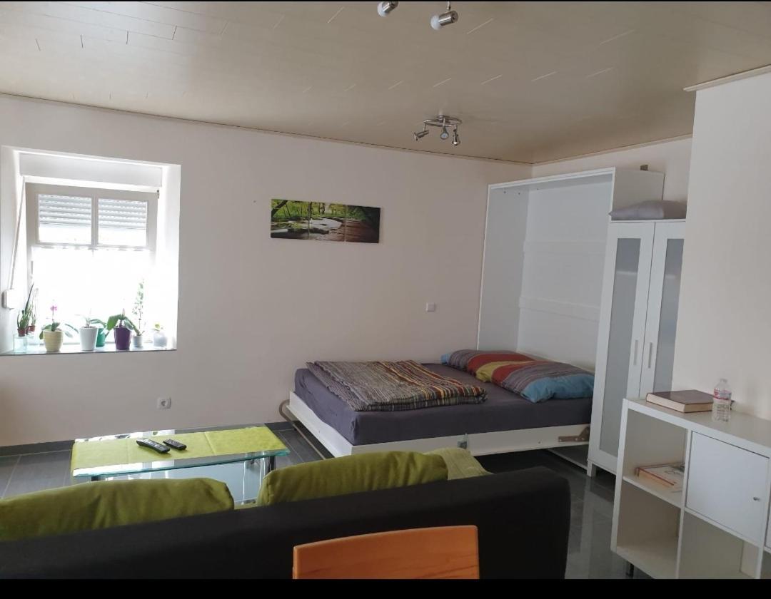 Ferien-Apartment Meter Neumagen-Dhron Buitenkant foto
